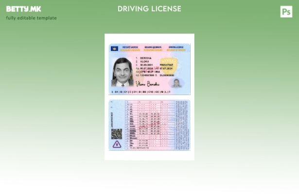 Модерен стил Присутен шаблон за косовска возачка дозвола 1